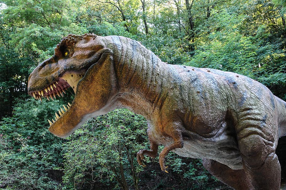 tyrannosaurus near trees, Dinosaur, Tyranosaurus, Sculpture, Fear, animal, extinct, carnivore, large, wildlife