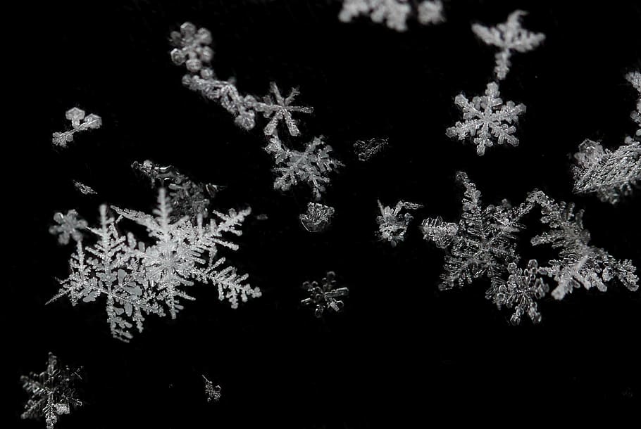 snowflakes, winter, frozen, forms, white, snow, snowflake, cold temperature, nature, night