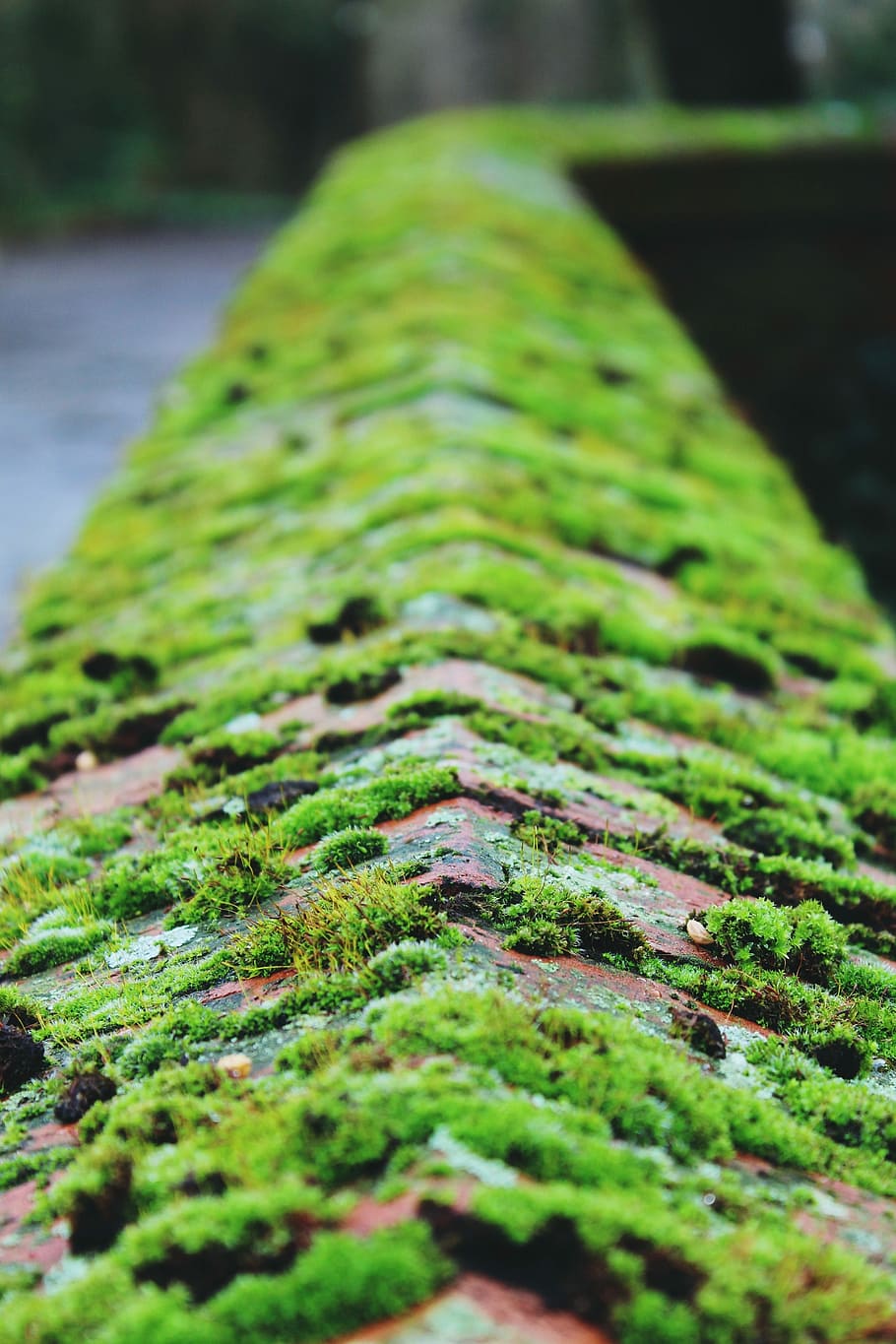 Moss, Stone Wall, wall, stone, green, old, nature, weathered, masonry, garden
