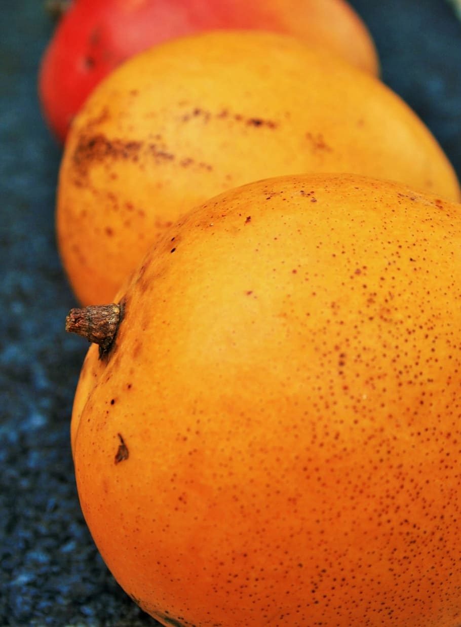 Fruit, Mangos, Row, Round, Orange, three, fresh, tropical, food and drink, close-up