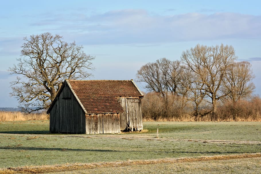 gray, brown, wooden, shed, barn, hut, field barn, nature, field, meadow