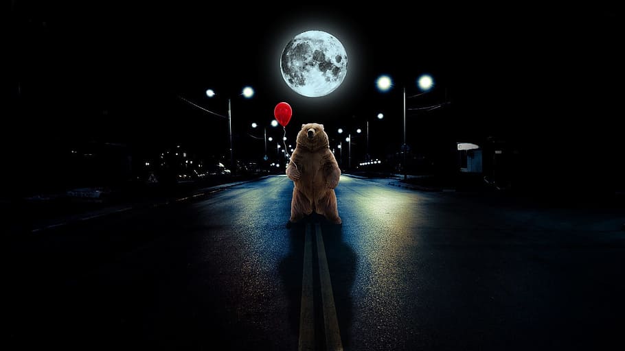 oso, de pie, medio, camino, lleno, luna, fotomanipulación, naturaleza, photoshop, globo
