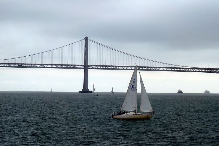 bay, bridge, san francisco, oakland bay bridge, steel cables, sailboat, sailing, sea, bridge - Man Made Structure, famous Place