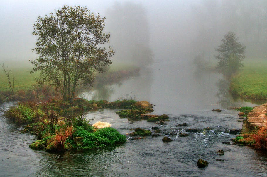 landscape, water, fog, diffuse, river, bach, waters, morning, atmosphere, romantic