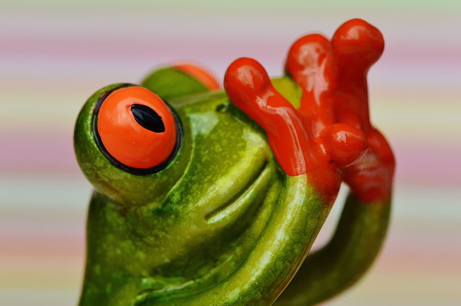 green, red, frog figurine, selective, focus photography, frog, figure, do not speak, scared, fear