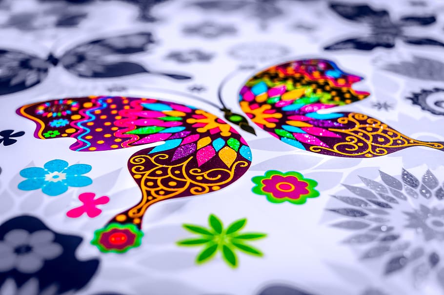 Fotografía en color selectivo, multicolor, estera de mariposa, mariposa, pintura, color, acuarela, insecto, decoración, colorido