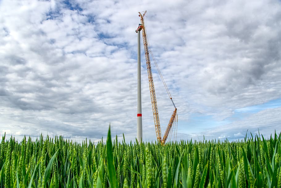 pinwheel, site, cornfield, crane, energy revolution, eco electricity, cloud - sky, sky, growth, plant
