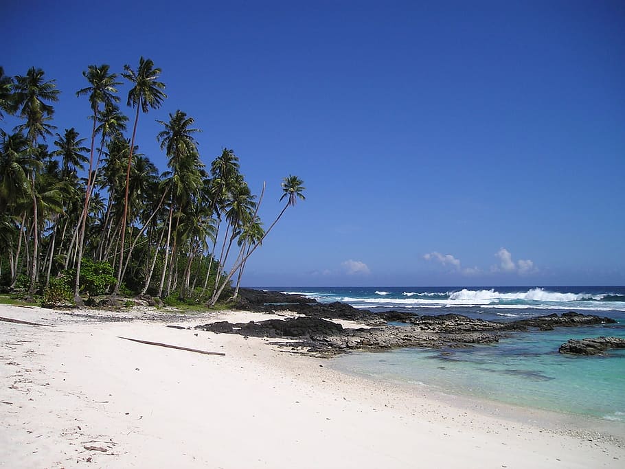 white, sand beach, palm trees, blue, sky, daytime, blue sky, beach, beautiful beach, samoa