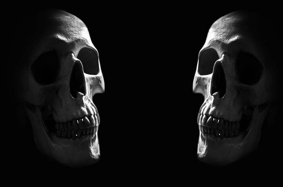 two, skulls, digital, wallpaper, anatomy, background, body, bone, brain, cranium