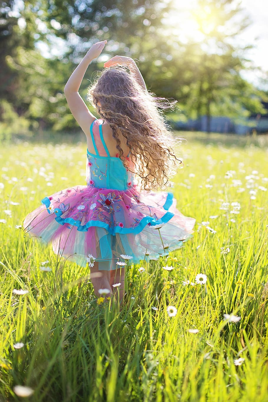 girl, wearing, blue, pink, dress, middle, white, flower field, dance, little girl
