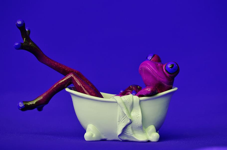 frog, bath, swim, relaxation, relax, funny, body care, figure, fun, cute