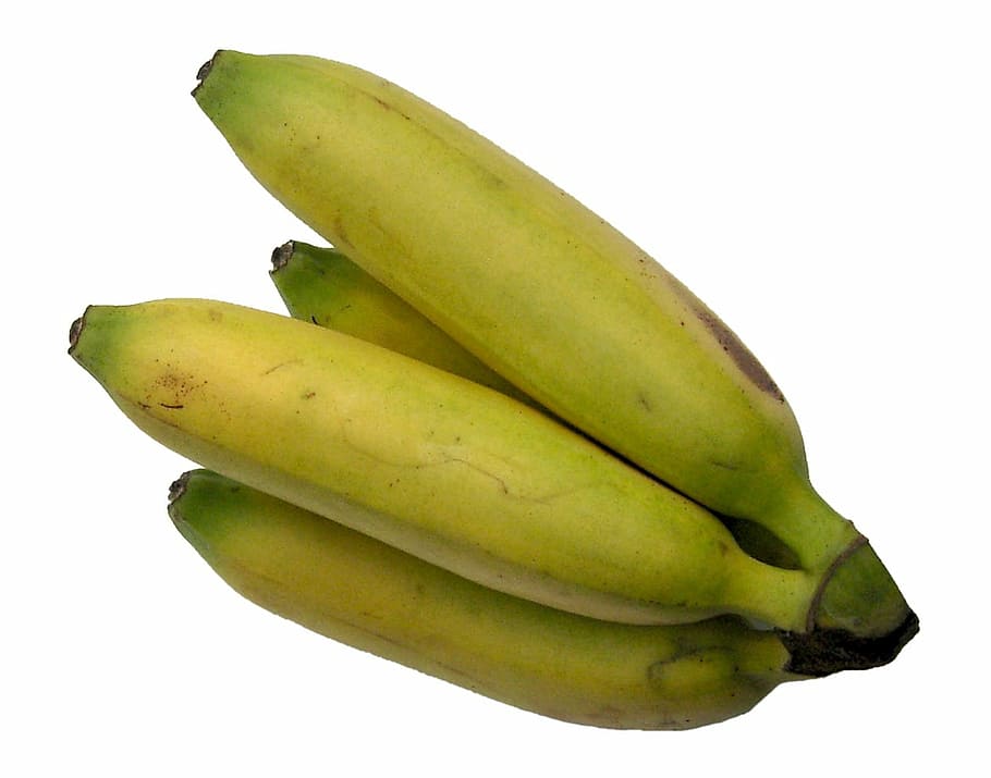 pisang, buah, semak pisang, vitamin, gula, manis, makanan, makan, kesegaran, matang
