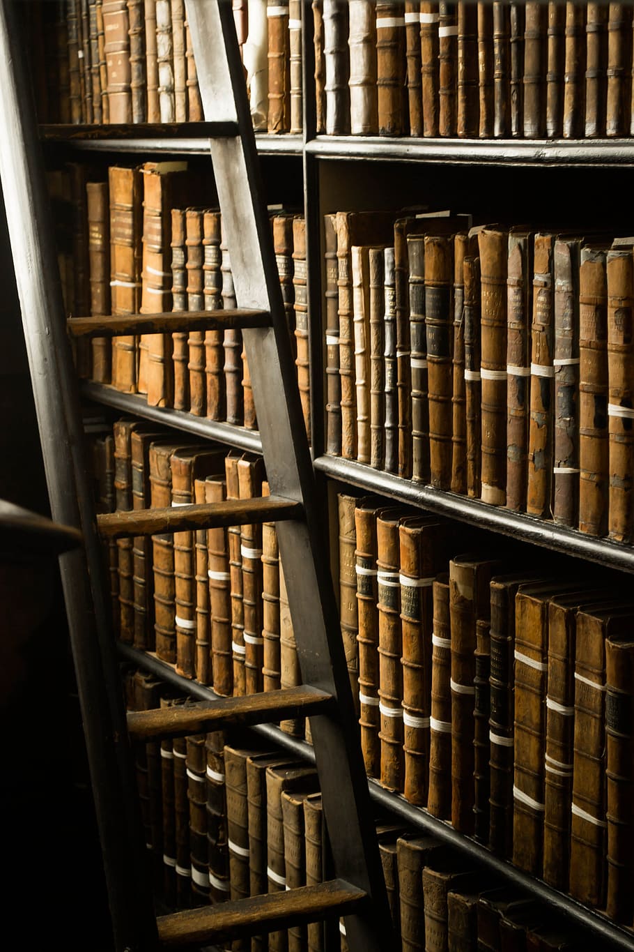 brown, wooden, ladder, book lot, Books, Library, Dublin, Ireland, abroad, trinity college