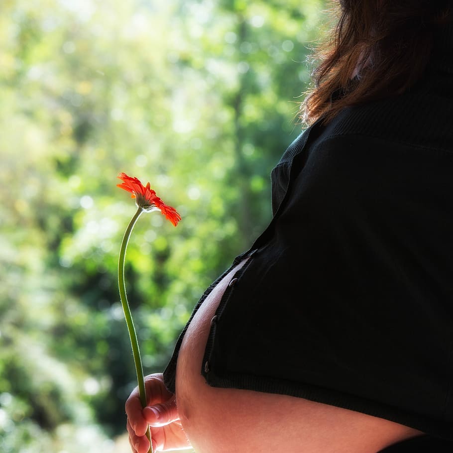 selective, focus photo, woman, holding, orange, petaled flower, selective focus, flower, pregnant woman, pregnancy