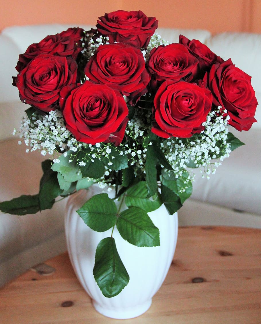 red, rose, arrangement, white, vase, bouquet of roses, baccara roses, he loved flowers, queen of roses, red roses
