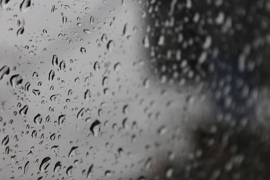 rain, wet, pearl, water molecule, rocio, droplet, drop of water, cold, surface, texture