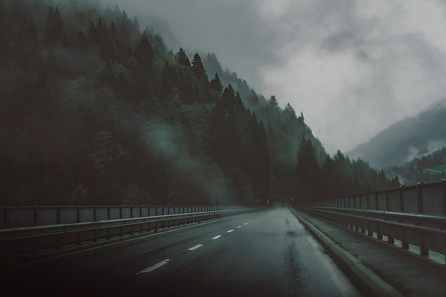 carretera, autopista, puente, niebla, frío, viajar, noche, unidad, pavimento, interestatal
