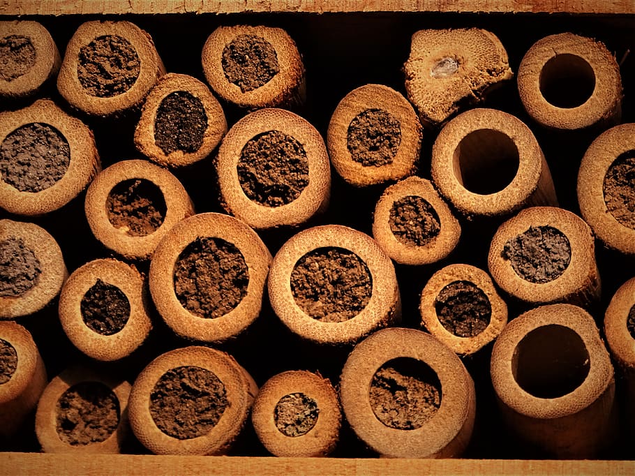 insects hotel, insects, summer, garden, nature, bees, bug, beehive, pollinate, honeycomb