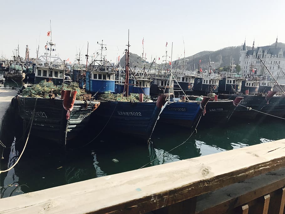 Dalian, barcos de pesca, muelle, embarcación náutica, agua, transporte, modo de transporte, atracado, puerto, día