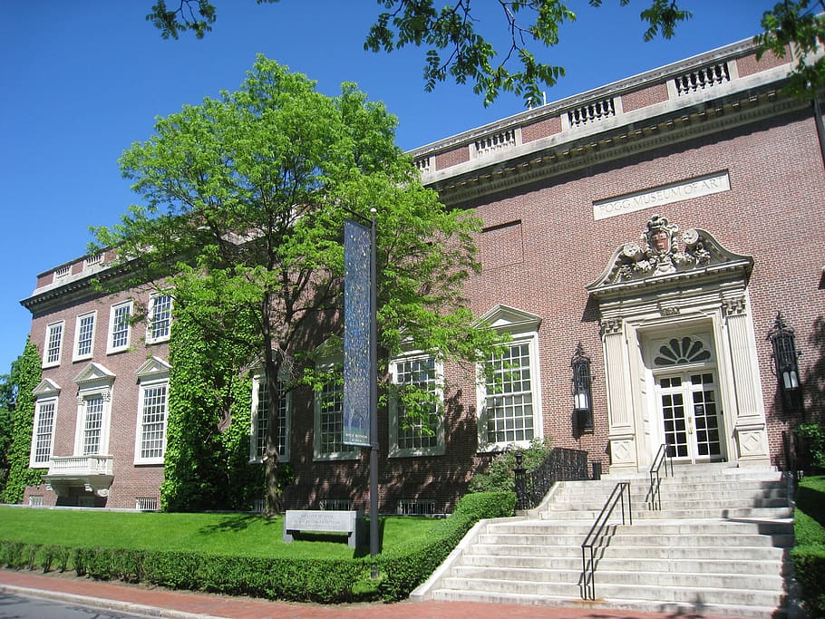 Museum Fogg, Universitas Harvard, Cambridge, Massachusetts, bangunan, perguruan tinggi, foto, pendidikan tinggi, domain publik, pohon