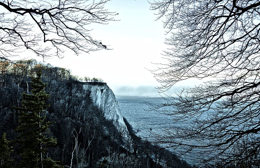 königstuhl, white cliffs, chalk formation, chalk, nature reserve, chalkboard, nature park, rock, sea, view