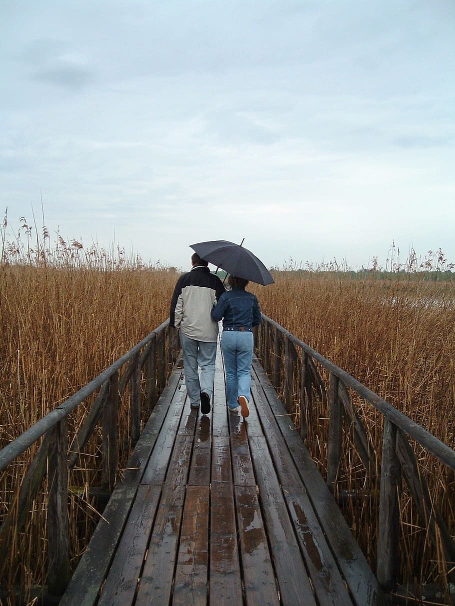 Away, Pair, Screen, Walk, Nature, together, for two, web, rain, couple in the rain