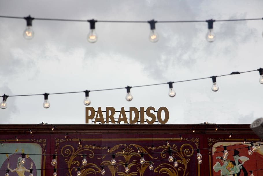 paradiso signage, paradiso, signage, arriba, marrón, de madera, edificio, todavía, temático, parque
