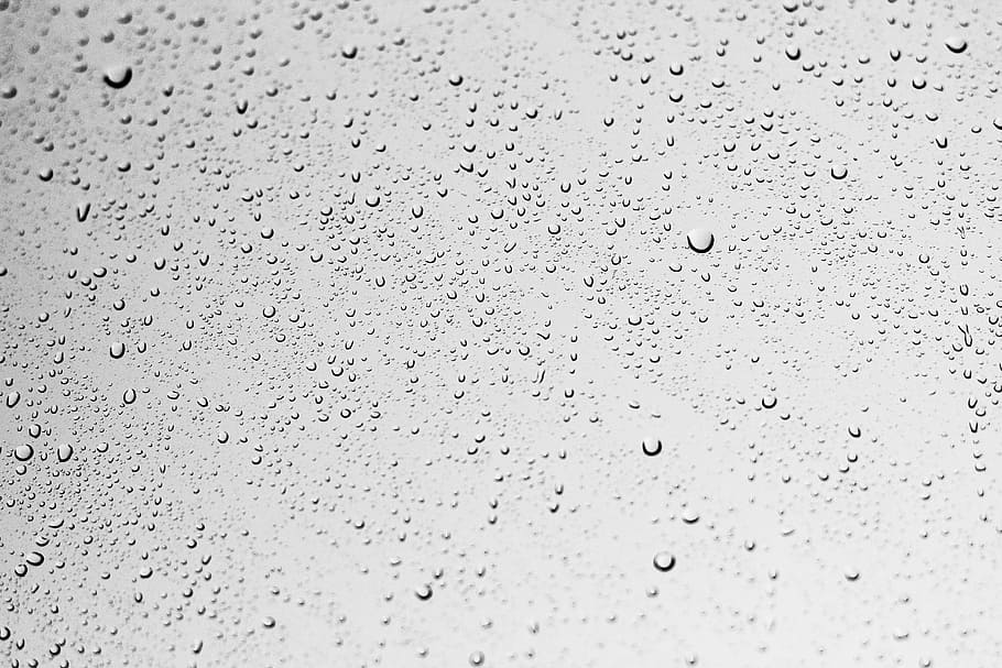 water droplets, glass, rain, wet, water, window, droplets, gray, drops, drop