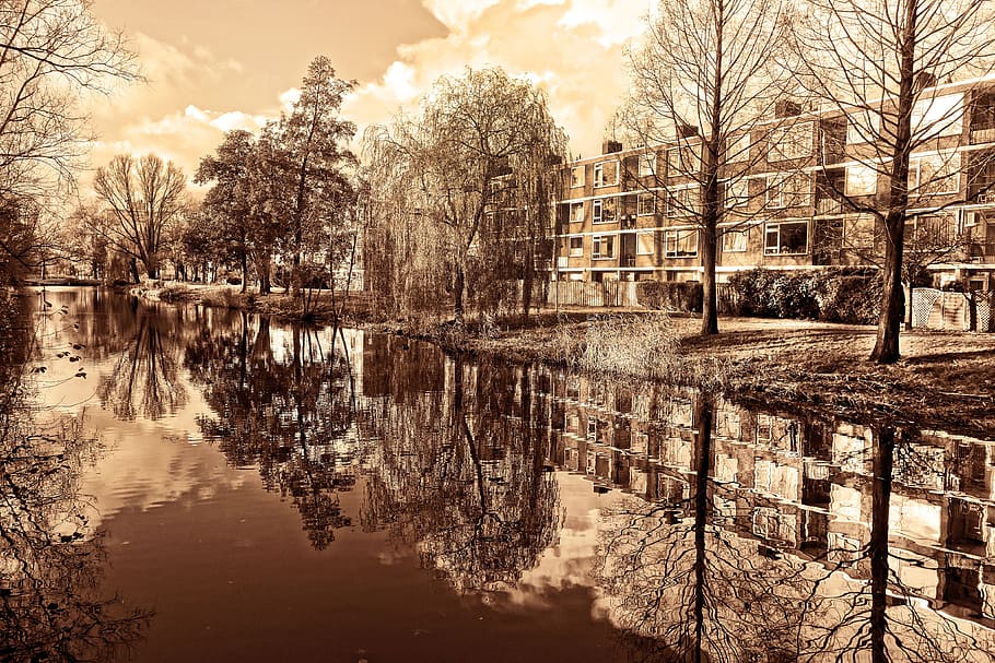 flats, apartment block, residential, suburban, canal, reflections, trees, bank, home, housing