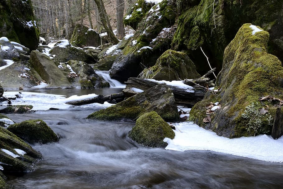 creek, bach, austria, styria, teigitsch, landscape, nature, winter, beauty in nature, tree