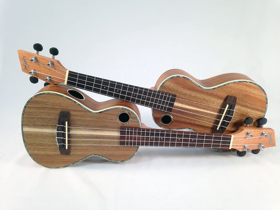 dois ukuleles marrons, ukulele, instrumento musical, instrumento com trastes, música, havaí, acústico, corda, madeira, instrumento de cordas