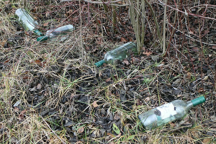 Bottle, Bottles, Glass, Garbage, throw away society, on the side of the road, environment, waste disposal, waste, disposal