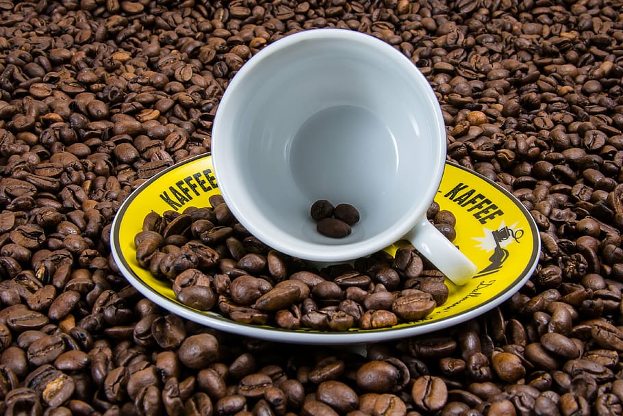 blanco, cerámico, taza, lote de nuez de café, café, taza de café, granos de café, cubierta, marrón, naturaleza muerta