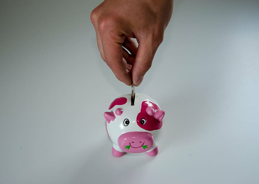 pink, white, piggy bank, save, money, economical, ceramic, finance, coins, cash injection