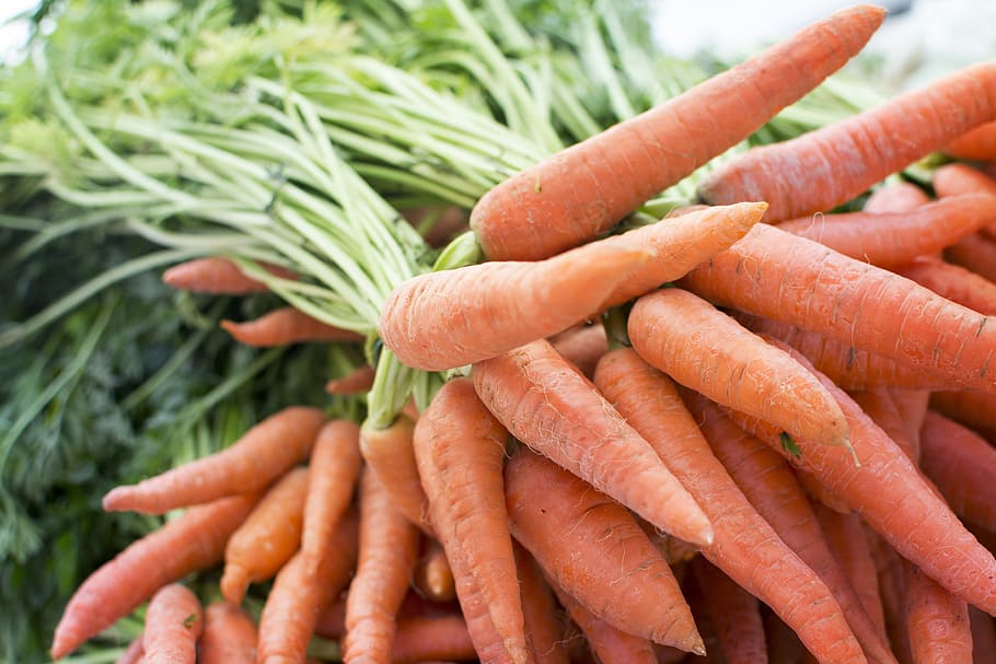 shallow, focus, carrots, carrot, produce, grocery, farm, table, market, trade