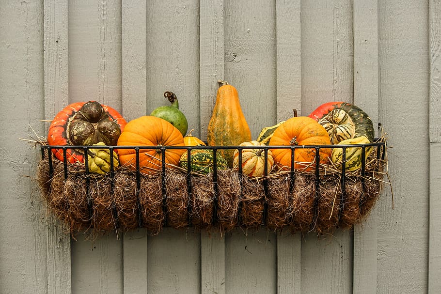 tray, assorted-color squashes, gourds, pumpkins, squash, autumn vignette, fall vegetables, halloween, orange, fall
