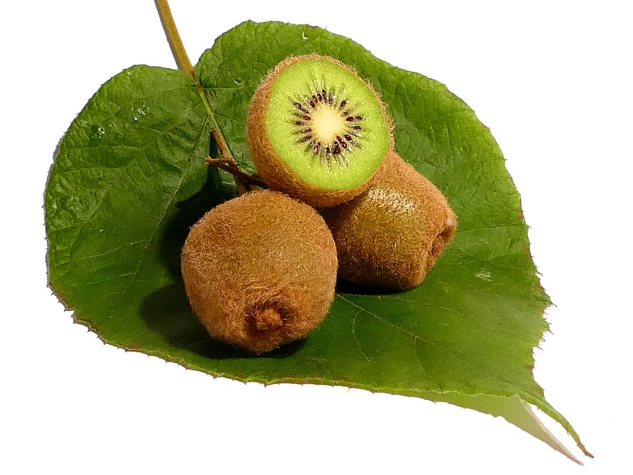 kiwi, buah, vitamin, sehat, hijau, makanan, potong, segar, masih hidup, makanan dan minuman