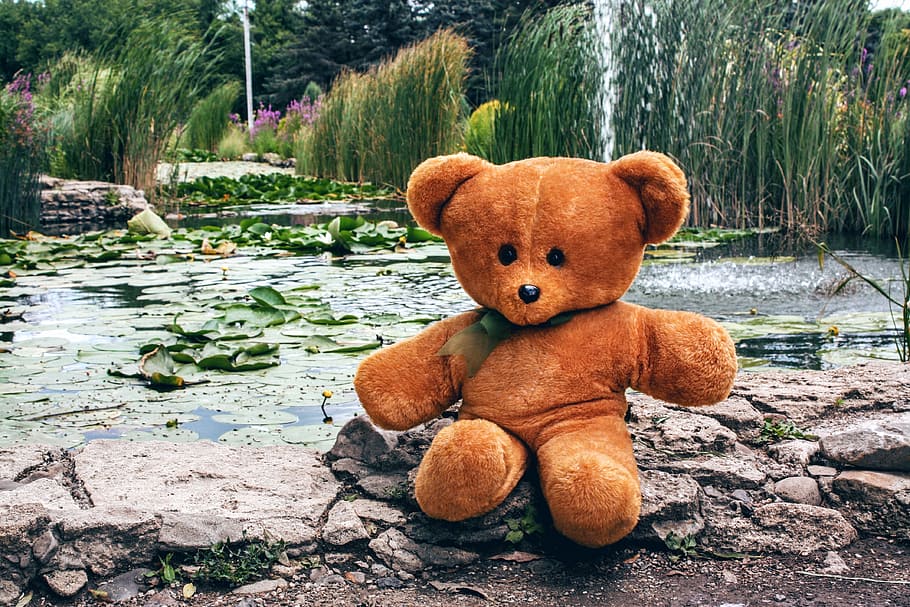 brown, bear, river, teddy, toy, soft, childhood, sitting, pond, outdoors
