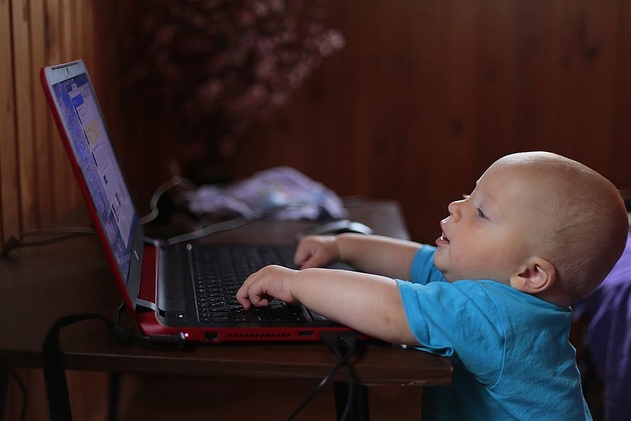 toddler, wearing, blue, shirt, using, laptop computer, kid, notebook, computer, learns