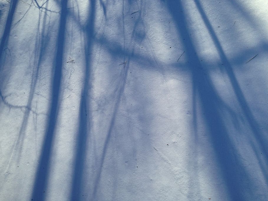 Shadows, Snow, Abstract, Blue, Branches, Cold, Light, Outdoors, Snowfall, Texture