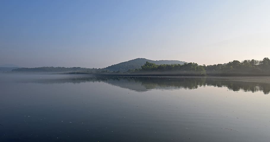 calma, cuerpo, agua, árboles, durante el día, lago melton en la brumosa mañana, niebla, amanecer, canales de remo, río clinch