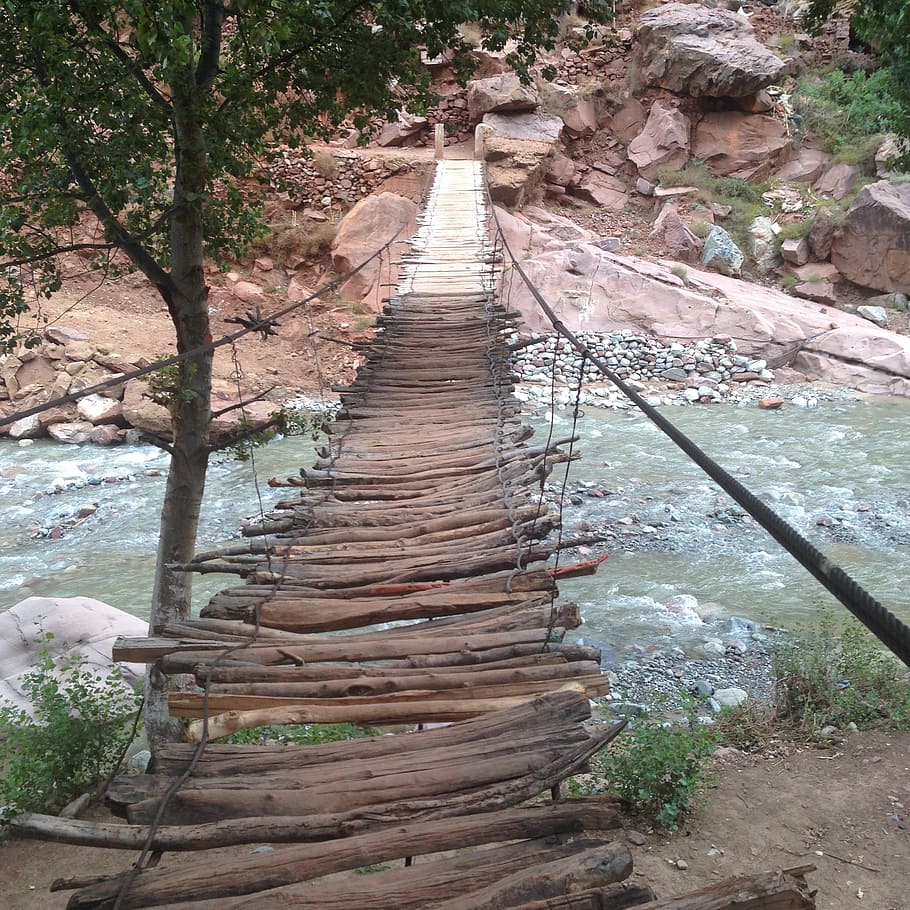 bridge, stream, crossing, rickety, river, nature, wooden, walking, tree, the way forward