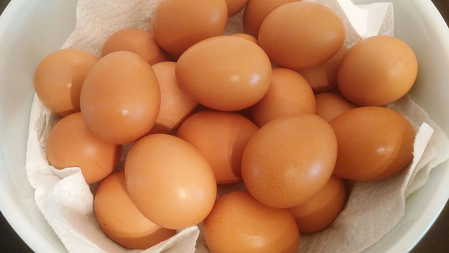ovos, comida, cesta de ovos, casca, casca de ovo, marrom, oval, frango, nutrição, orgânico