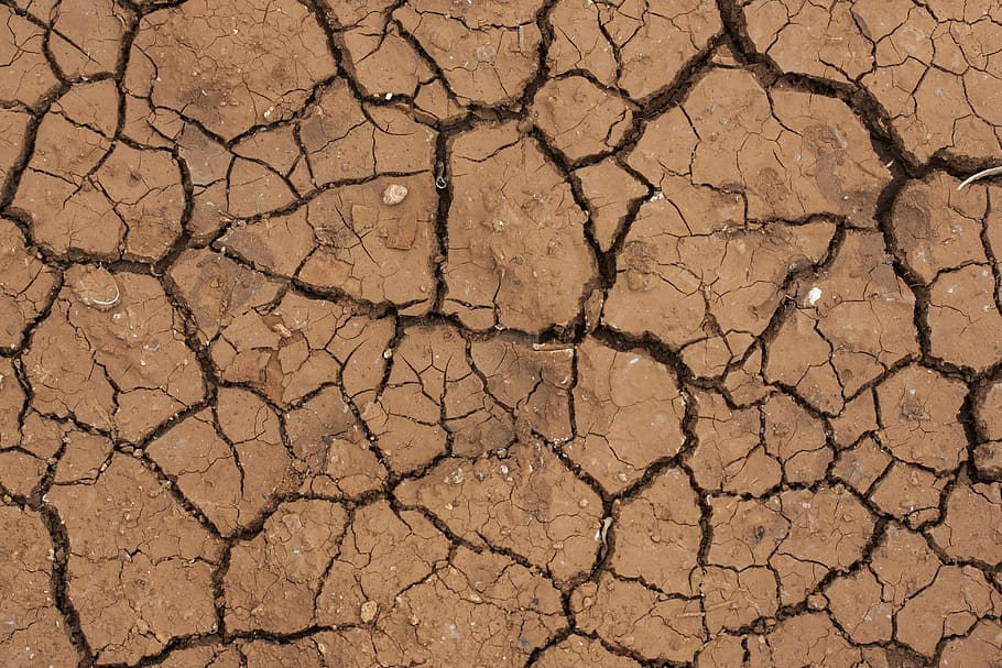 solo seco, deserto, sujeira, seco, rachado, lama, terry, texturizado, planos de fundo, natureza