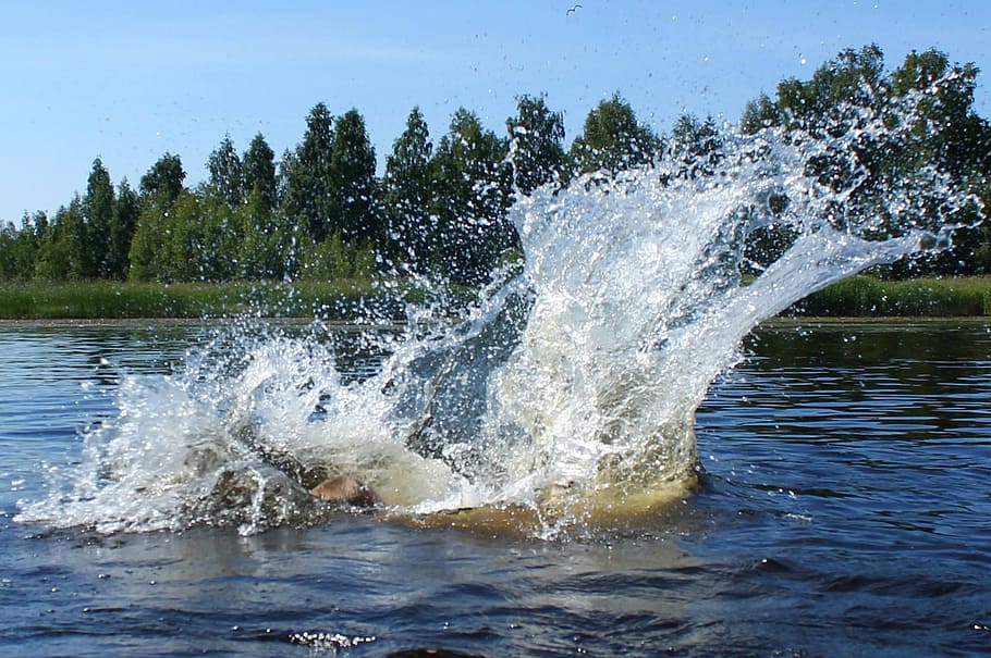 water, lake, nature, spatter, motion, tree, splashing, plant, day, beauty in nature