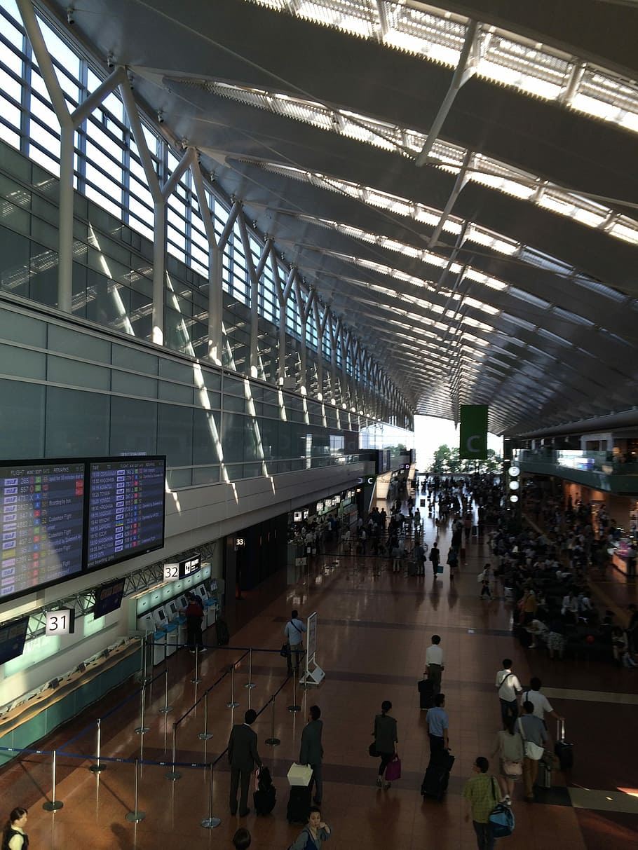 Haneda Airport, Airport, Terminal, airport, terminal, bill, passenger, travel, large group of people, people, walking
