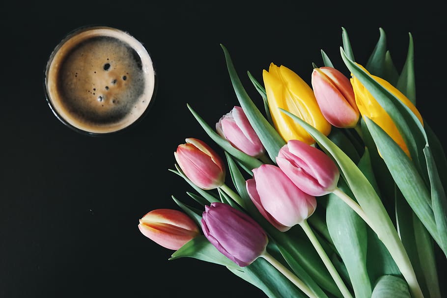 café, xícara, flores, folhas, plantas, planta com flor, flor, frescura, planta, pétala