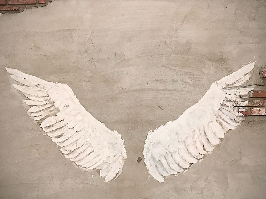 asas de pintura, asa, anjo, parede, cimento, escultura, foto, plano de fundo, república da coreia, detalhes