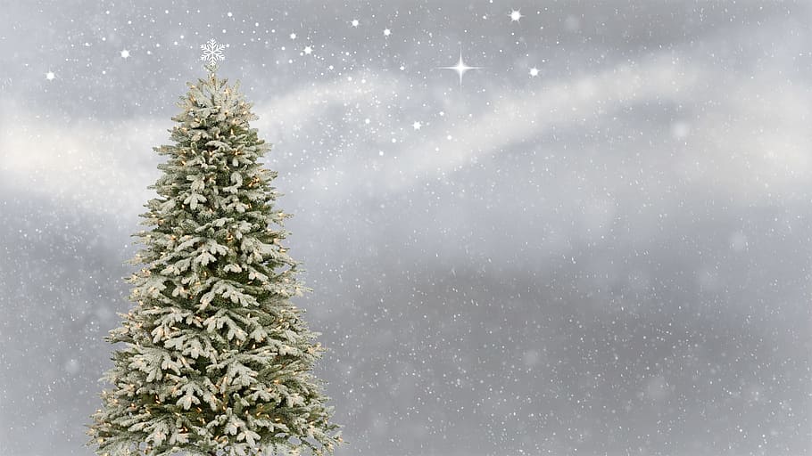 árbol de navidad verde, tarjeta de navidad, saludo de navidad, fondo, textura, estrella, brillo, nieve, luces, lichterkette