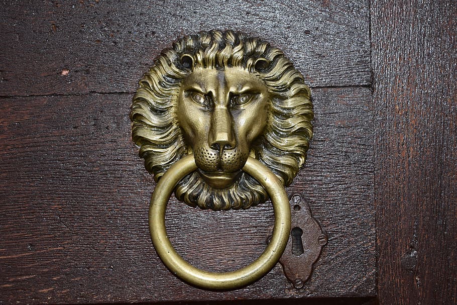 door, the lion, knocker, old, golden, iron lion, handle, door knocker, art and craft, entrance